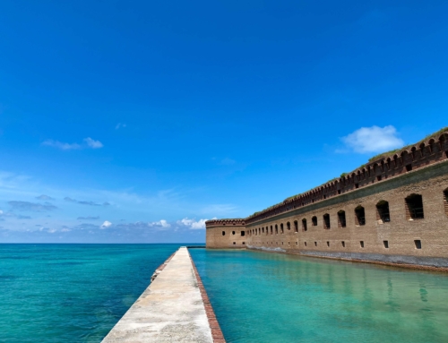 The Ultimate Guide to the Dry Tortugas National Park